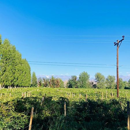 Finca Tierra Calma Casa 1 巴雷阿尔 外观 照片