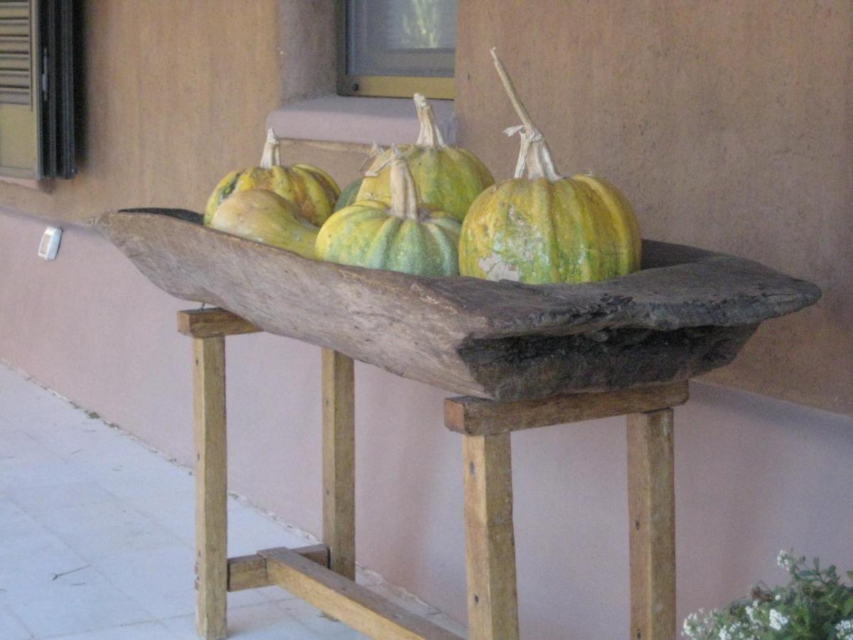 Finca Tierra Calma Casa 1 巴雷阿尔 外观 照片